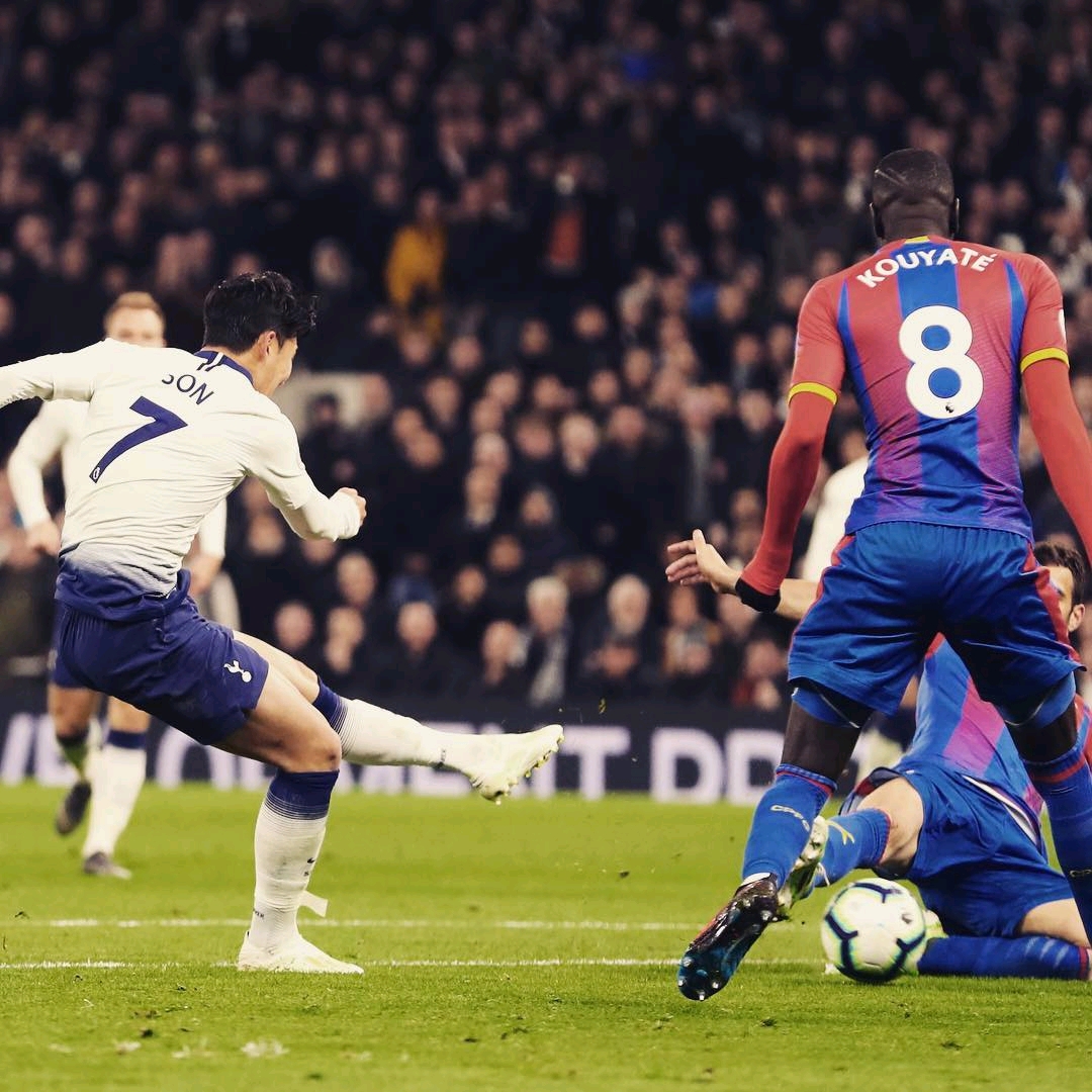 透明和长期 透明和长期