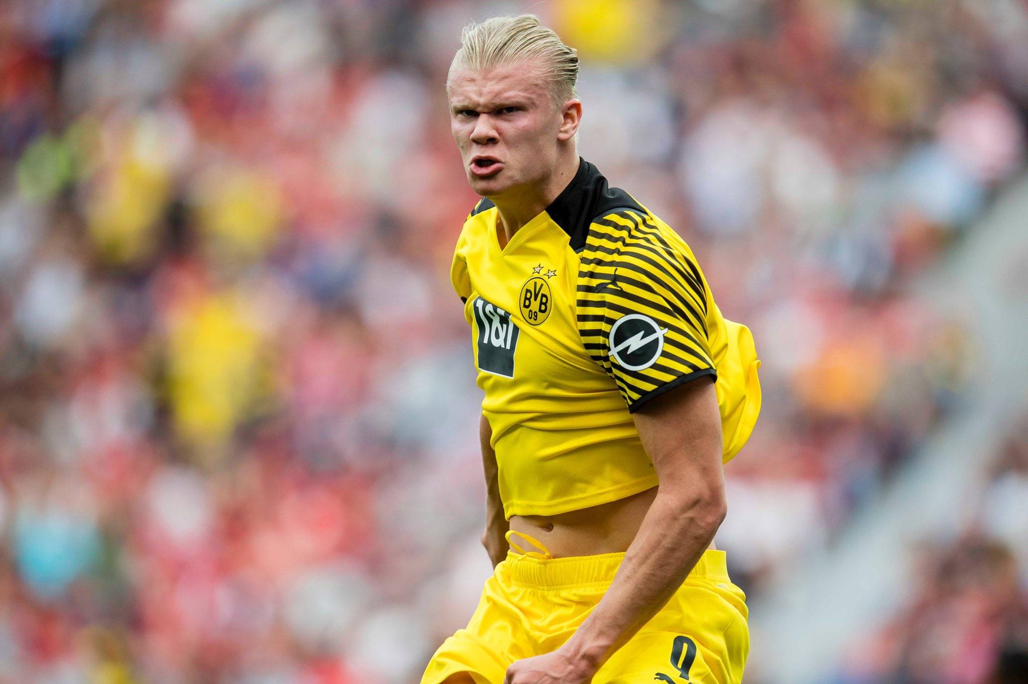 会过程中 会过程中